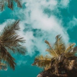 Meet your Posher, Ralph